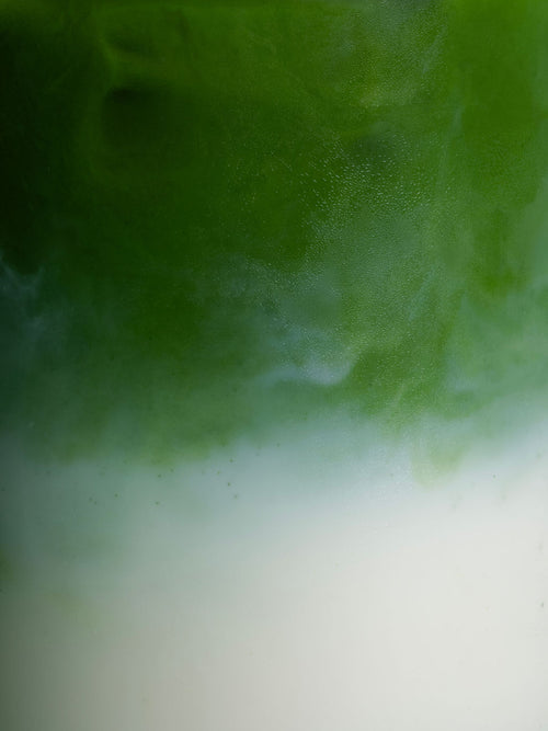 Matcha Starter Gift Box